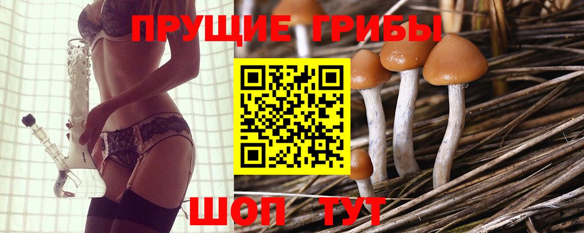 Псилоцибиновые грибы ЛСД  Вход с VPN  Псилоцибиновые грибы ЛСД  Касимов 